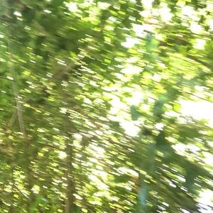 Meet your Posher, Hami